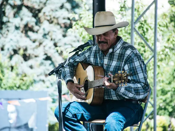 Concert acoustique en plein air