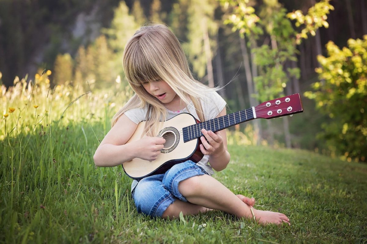 Construction d'une guitare acoustique : éléments et matériaux