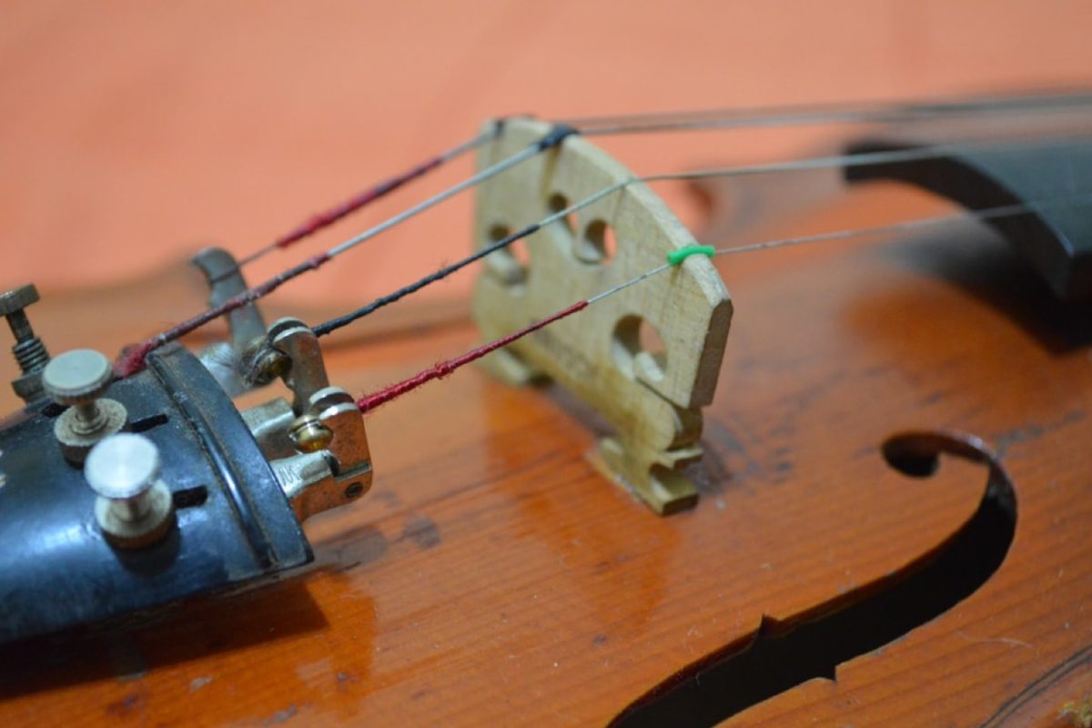 Portrait d'un luthier artisanal de région