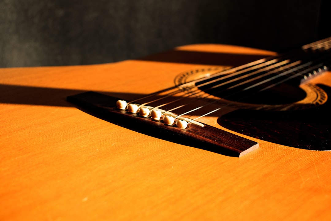Rencontres et portraits de la guitare acoustique