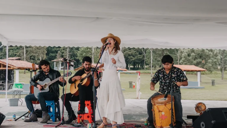 Festivals folk et guitare acoustique en France : où aller